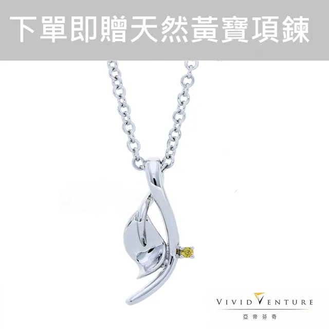 【Vividventure 亞帝芬奇】2分 天然真鑽 項鍊 蔓葉(買一送二 超值回饋組)