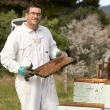 即期品【Arataki】紐西蘭三葉草蜂巢蜂蜜-340g-Clover Comb(效期2028/3/3)