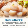 【享吃海鮮】嚴選鮮甜干貝3包(230g包/5顆/包)