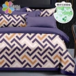 【Seiga 飾家】買一送一 絲柔棉四件式床包被套組 花色任選(雙人)