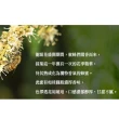 【蜂蜜世界】台灣龍眼蜂蜜310gX1瓶