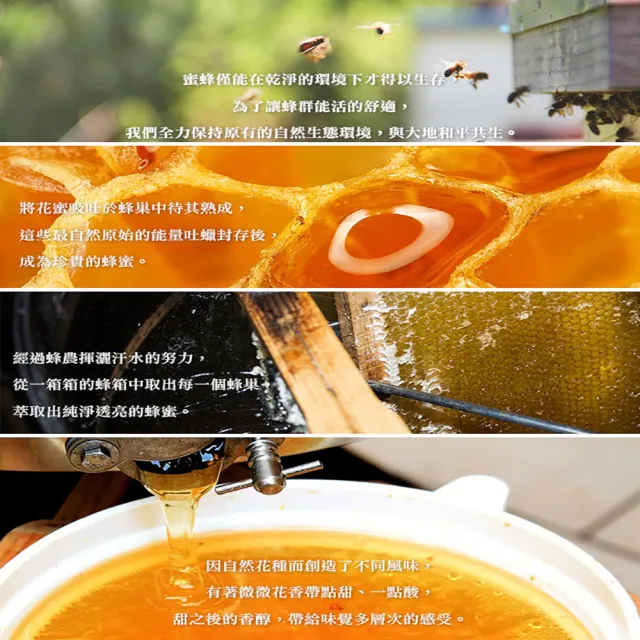 【蜂蜜世界】台灣龍眼蜂蜜350gX1入