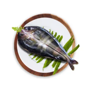 【鮮綠生活】北海道花魚一夜干大(250g-300g±10%/包 共5包)