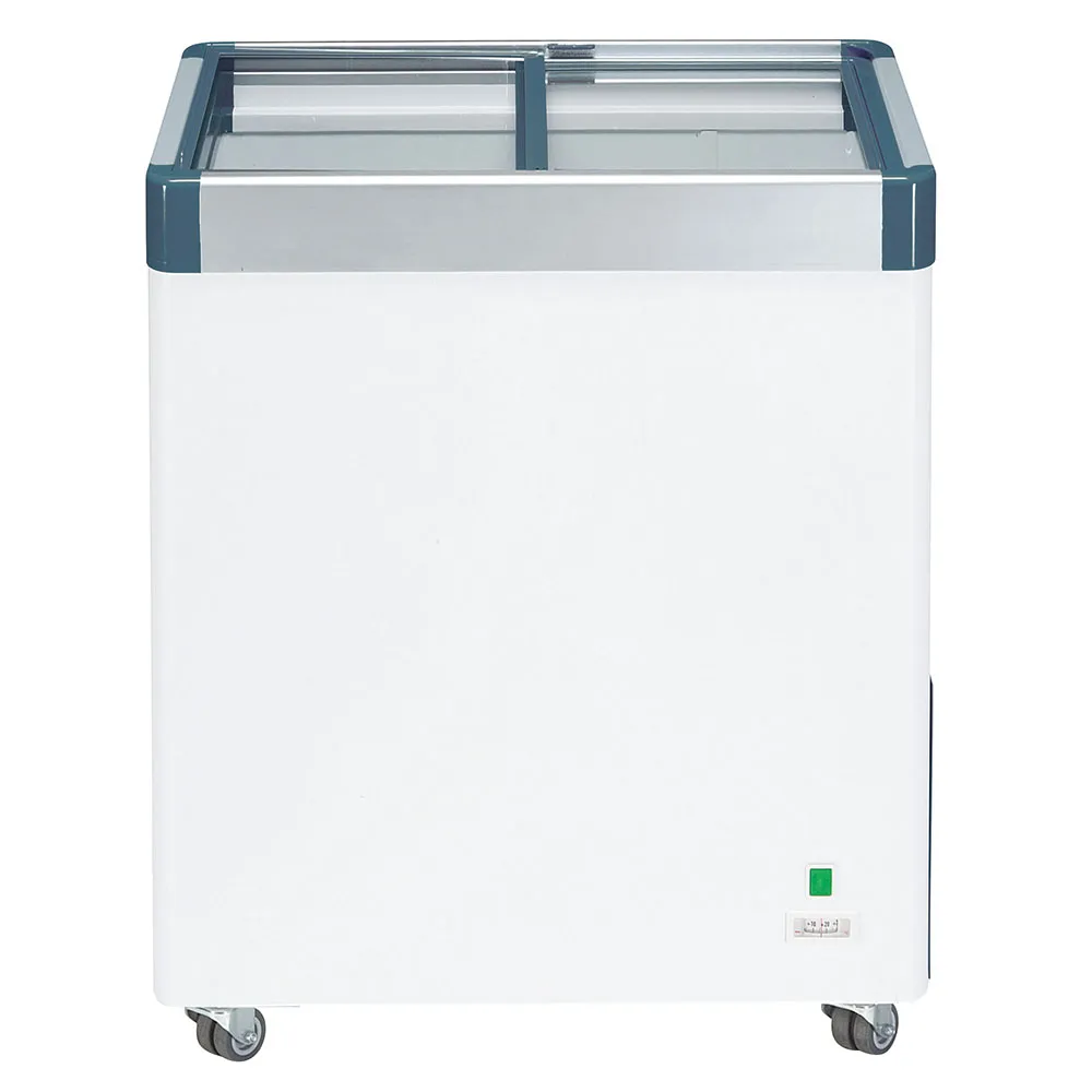 【LIEBHERR 利勃】108L 對開玻璃推拉冷凍櫃(EFE-1102灰色)