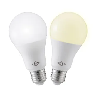 【SY 聲億科技】6W  LED 高效能廣角燈泡-12入(CNS版)
