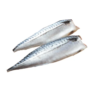 【愛上海鮮】頂級挪威薄鹽鯖魚16片組(140g±10%/片)