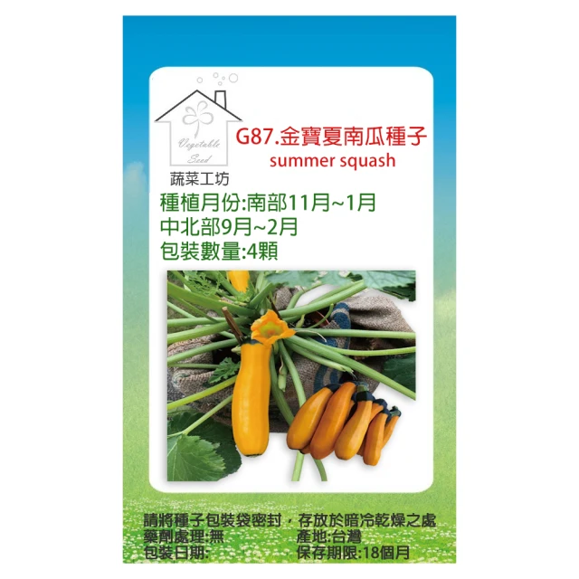 【蔬菜工坊】G87.金寶夏南瓜種子4顆(黃櫛瓜.節瓜.嫩南瓜.美國南瓜)