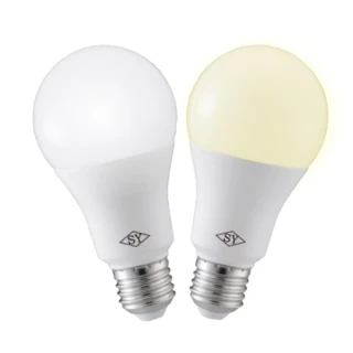 【SY 聲億科技】6W  LED 高效能廣角燈泡-9入(CNS版)