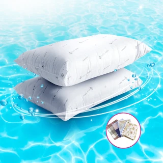 【Embrace 英柏絲】二入一組 防蹣認證 抗菌枕頭 特製棉 過敏體質推薦(日本大和JIS)