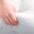 【Embrace 英柏絲】二入一組 防蹣認證 抗菌枕頭 特製棉 過敏體質推薦(日本大和JIS)