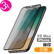 iPhoneXSMax 滿版高清防窺9H鋼化膜手機保護貼(3入 XSMax保護貼 XSMax鋼化膜)