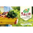 【亨源生機】高鈣高纖燕麥植物奶(25gx32包/盒)