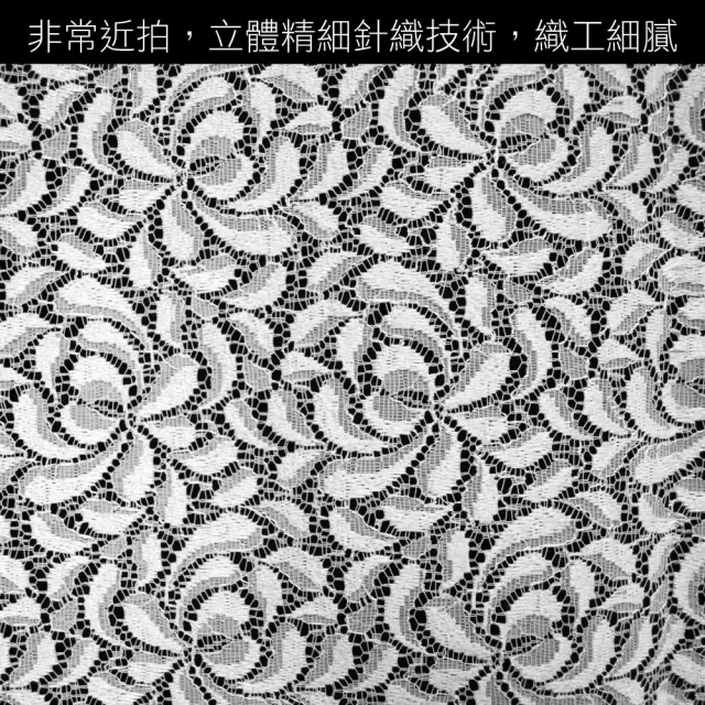 【LASSLEY】葛蕾絲風水簾100X186cm(紗簾 蕾絲 風水簾 ALBANI 德國進口 台灣製造)