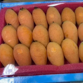 【WANG 蔬果】台灣鮮採香甜枇杷L號(6盒_18-24入/盒)