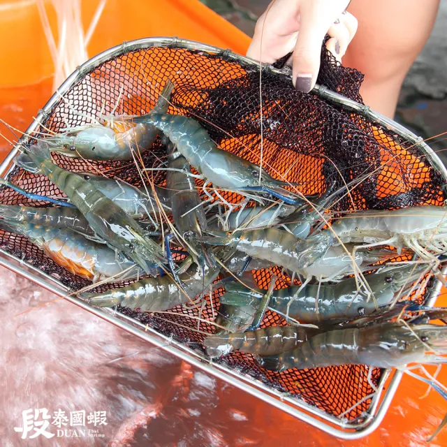【段泰國蝦】屏東鮮凍泰國蝦Ｂ級3包入(600g±5%/包)