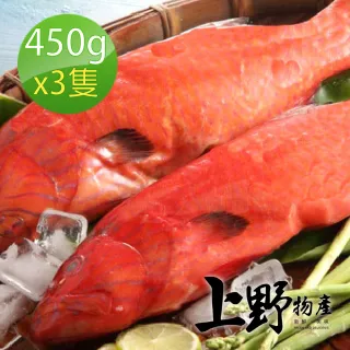 【上野物產】菲律賓燕尾紅條3隻 450g土10%/隻(紅石斑魚 紅燒魚 家常 料理 海鮮)