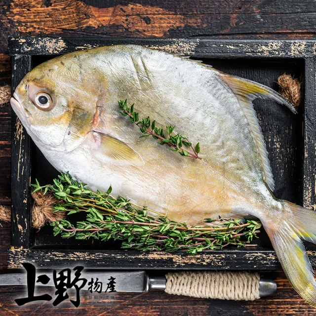 【上野物產】50隻 越南進口 野生肉魚(75g±10%/片 肉鯽魚/海鮮/魚)