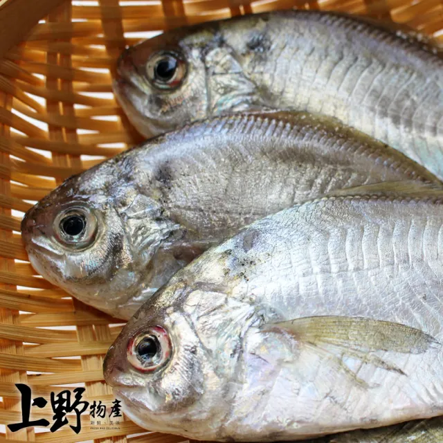 【上野物產】50隻 越南進口 野生肉魚(75g±10%/片 肉鯽魚/海鮮/魚)