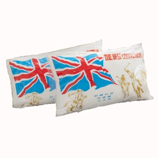 【AGAPE 亞加．貝】買一送一《英國品牌抗菌Q彈壓縮枕》台灣製造 超Q彈透氣柔軟舒適　可水洗(百貨專櫃同款)