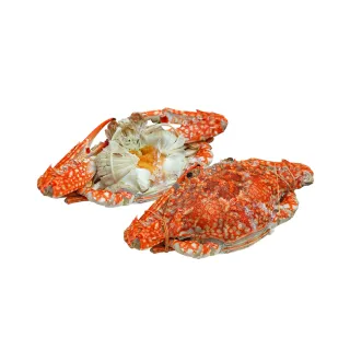 【優鮮配】斯里蘭卡生凍母花蟹5隻(200-250g/隻)