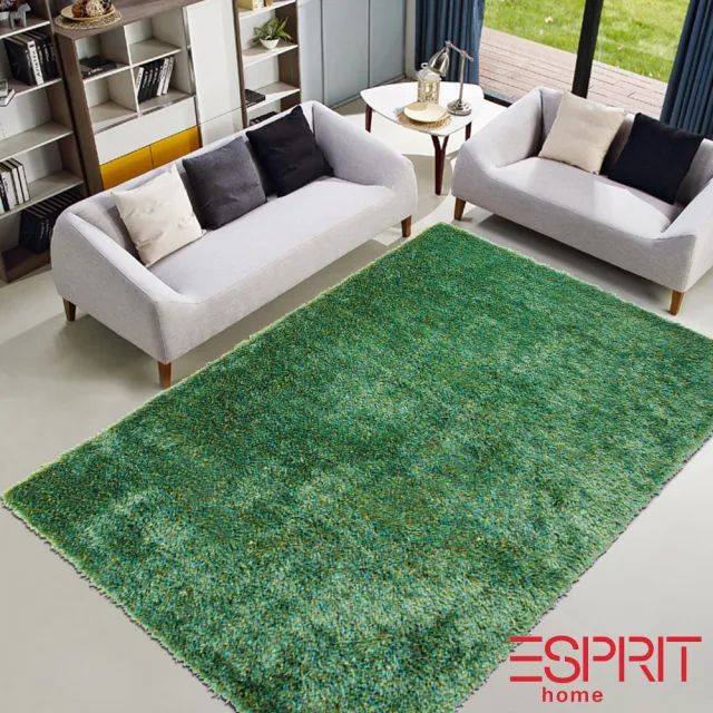 【山德力】ESPRIT Lakeside地毯 ESP-3303-17 200X300cm(長毛 綠色 生活美學)