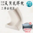 【ALAI寢飾工場】工學曲線款 天然乳膠枕(買一送一  加碼送枕套)