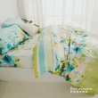【絲薇諾】40支100%天絲 四件式兩用被床包組   夏日綠光(雙人)