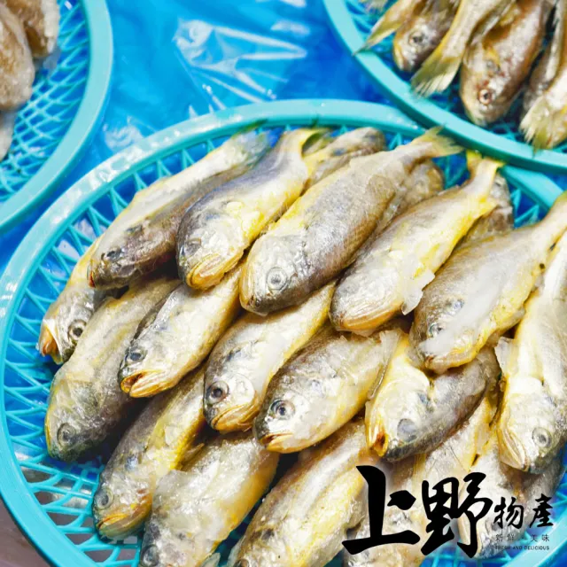 【上野物產】30隻 野生白口魚(海鮮)