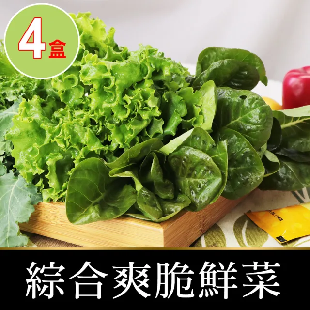 【會呼吸的菜】綜合水耕鮮菜4盒+贈沙拉醬4包(150g±5%/盒)