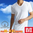【BVD】6件組100%純棉優質U領短袖衫(尺寸M-XXL可選)