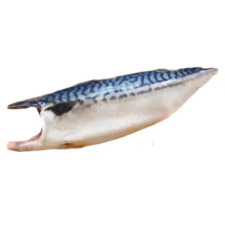 【池鮮生】XL超厚切挪威薄鹽鯖魚片5片組(170g-200g/片/純重無紙板)