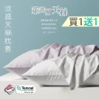 【這個好窩】買一組送一組 台灣製天絲 3M吸濕排汗薄枕套(贈品為隨機花色 恕不挑選)