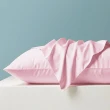【這個好窩】買一組送一組 台灣製天絲 3M吸濕排汗薄枕套(贈品為隨機花色 恕不挑選)