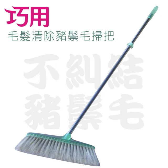 豬鬃毛掃把 2支入(紅綠二色 / 混色出貨)