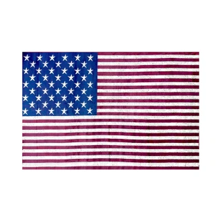 【范登伯格】比時時 捷伯絲質地毯-美國國旗(60x100cm)