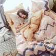 【CS22】輕奢AB棉保暖棉絨四件套床包組-1.5米(床包被套組)