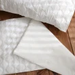 【絲薇諾】MIT保潔枕套(3M防潑水保潔枕套2入組)