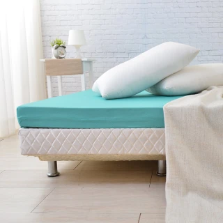 【LooCa】送枕x2-頂級12cm防蚊+防蹣+超透氣記憶床墊(雙人5尺)