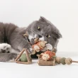 【pidan】木天蓼玩具 貓玩具 寵物玩具 獎勵禮物 驚豔系列(超多種奇趣造型 放鬆心情)