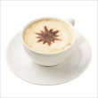 【KitchenCraft】花式咖啡印花模組(拉花片 噴花片 噴花模)