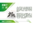 【NS】台灣製 銀離子口罩墊片 延長口罩使用  成人兒童可用 200入/組(保潔墊防護墊大人小孩 增長使用口罩套)