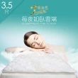 【J-style婕絲黛】台製天絲加厚型防蹣透氣日式床墊(單人加大3.5尺)