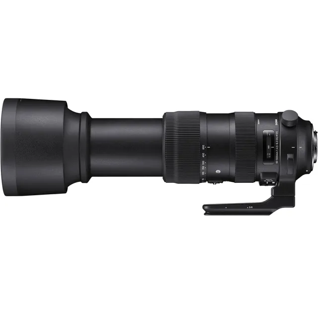 Sigma】60-600mm F4.5-6.3 DG OS HSM Sports(公司貨全片幅有反鏡頭