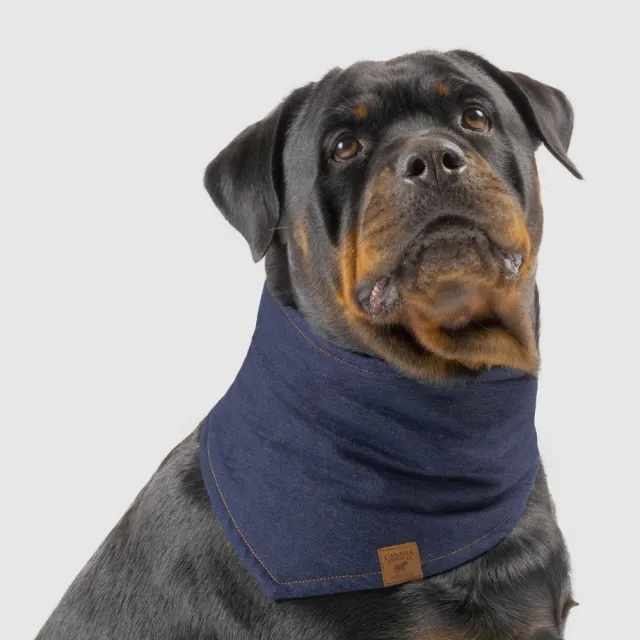 【CANADA POOCH】工匠領巾The Worker Bandana(CANADA POOCH 寵物領巾/寵物配件)