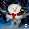【STEIFF】聖誕斗篷熊 Nicola Christmas Teddy bear(限量版)