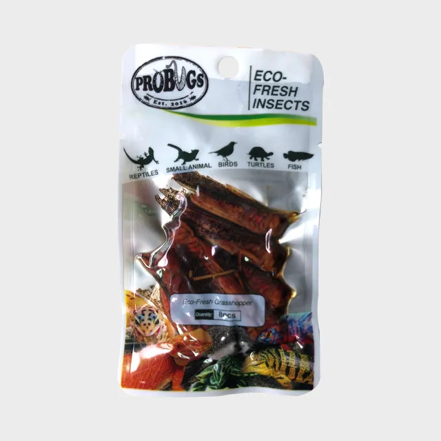 【昆寶寵物原形食糧】紅蚱蜢生鮮包美國版(8隻大包裝)
