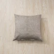 【IN-HOUSE】百搭純色系列抱枕-咖啡(50x50cm)