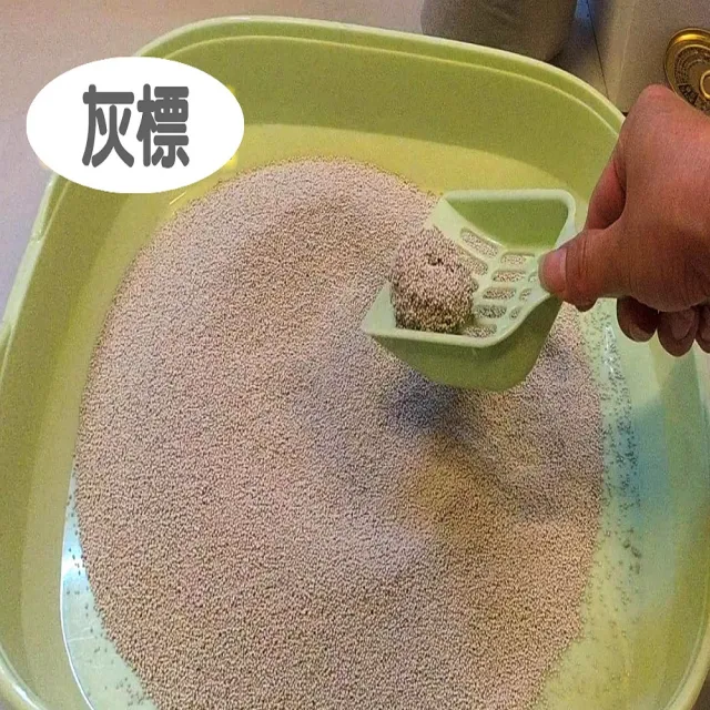 【國際貓家】灰標貓屋10KG*2箱(急速凝結小球貓砂)