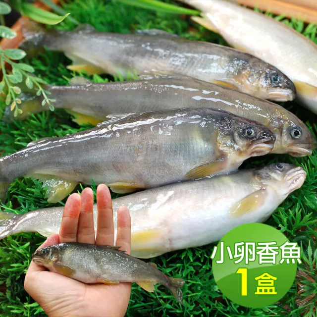 【優鮮配】宜蘭純淨爆卵母香魚1盒(11-17尾裝/920g/盒)