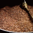 【Krone 皇雀咖啡】肯亞 AA 咖啡豆半磅 / 227g(嚴選地區精品咖啡豆)